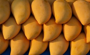Top Ten Health Benefits of Mango