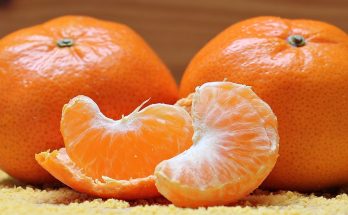 The Power-Packed Sunshine in Every Bite - Health Benefits of Oranges